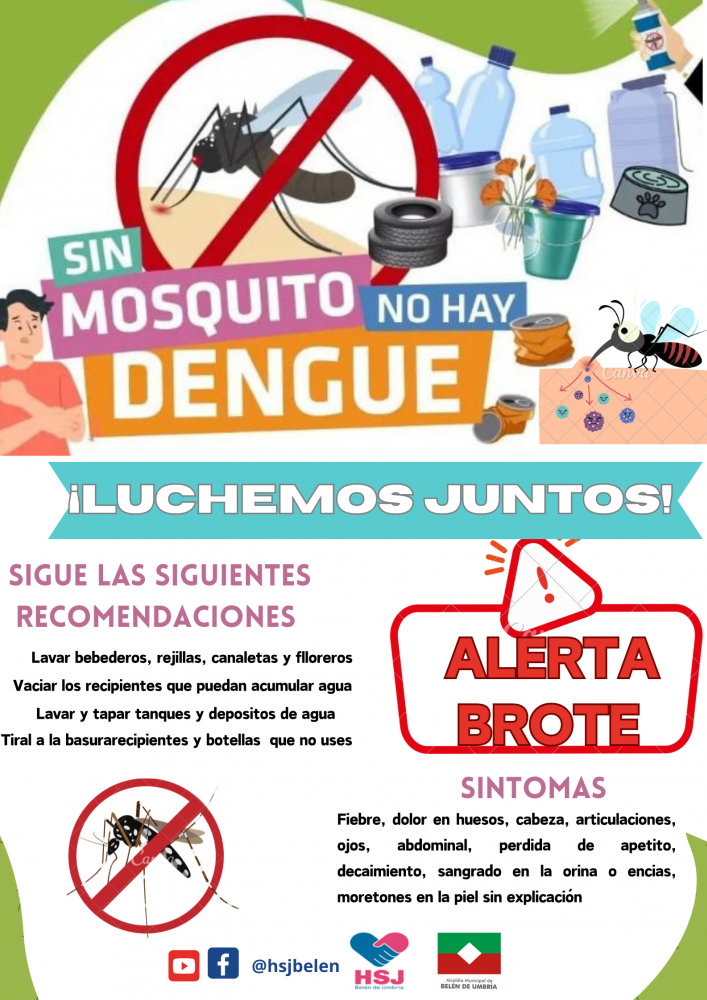 Prevención del dengue 
